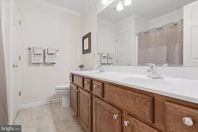 155 Bunchberry Ridge Court, Stephens City, VA 22655 - Photo 38