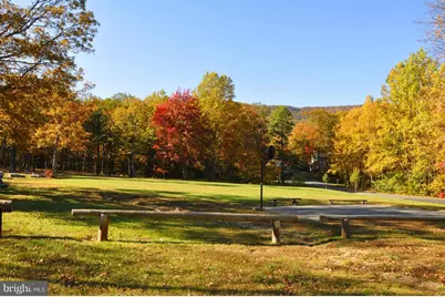 603 Panther Drive, Winchester, VA 22602 - Photo 8