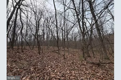Logger Drive #LOT 82, Gore, VA 22637 - Photo 1