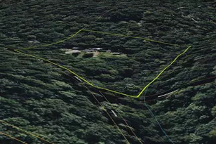 680 Sawlog Rd, Gore, VA 22637 - Photo 44