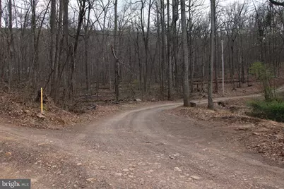 680 Sawlog Road, Gore, VA 22637 - Photo 40