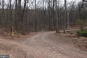 680 Sawlog Rd, Gore, VA 22637 - Photo 40