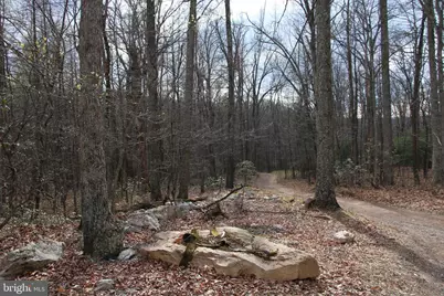 680 Sawlog Road, Gore, VA 22637 - Photo 38