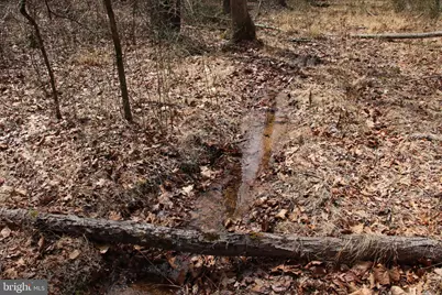 Trojan Lane, Winchester, VA 22603 - Photo 18