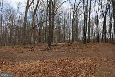 Trojan Lane, Winchester, VA 22603 - Photo 14