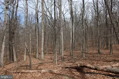 Trojan Lane, Winchester, VA 22603 - Photo 36