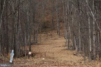 Trojan Lane, Winchester, VA 22603 - Photo 44