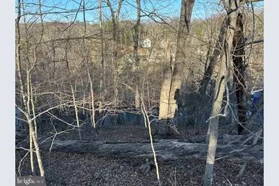 1231 Lakeview Drive, Cross Junction, VA 22625 - Photo 4