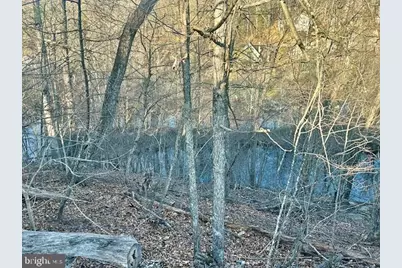 1235 Lakeview Drive, Cross Junction, VA 22625 - Photo 4