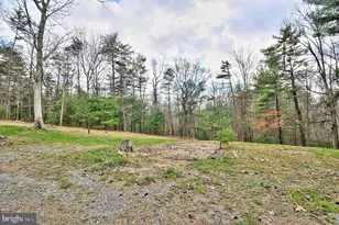 235 Peppermint Spring Ln, Winchester, VA 22603 - Photo 12