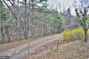 235 Peppermint Spring Ln, Winchester, VA 22603 - Photo 62