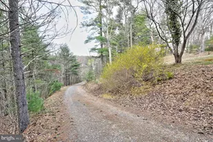 235 Peppermint Spring Ln, Winchester, VA 22603 - Photo 24