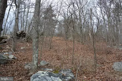 Rockwood Trail #49.61 ACRES, Winchester, VA 22602 - Photo 16