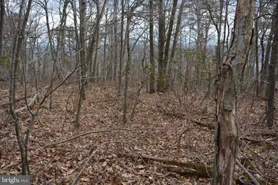 Rockwood Trail #49.61 ACRES, Winchester, VA 22602 - Photo 6