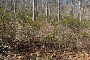 Fox Trail, Winchester, VA 22602 - Photo 1