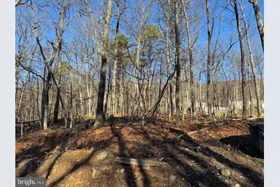 Lot 6 Quail Drive, Winchester, VA 22602 - Photo 1