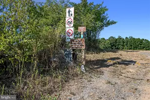 121 Checkerspot, Lake Frederick, VA 22630 - Photo 44