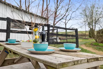 4494 Cedar Creek Grade, Winchester, VA 22602 - Photo 48