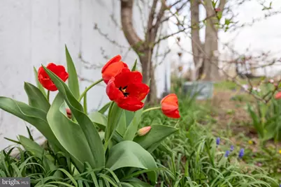 4494 Cedar Creek Grade, Winchester, VA 22602 - Photo 52