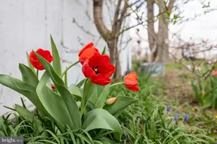 4494 Cedar Creek Grade, Winchester, VA 22602 - Photo 52