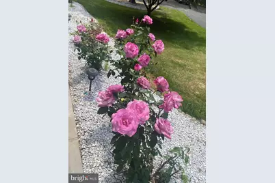 530 Laurel Grove Road, Winchester, VA 22602 - Photo 106