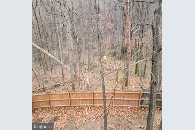 135 Hill Valley Drive, Winchester, VA 22602 - Photo 36