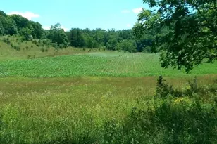 1112 Stony Hill Rd, Winchester, VA 22603 - Photo 1