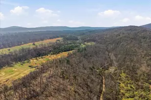 1112 Stony Hill Rd, Winchester, VA 22603 - Photo 58