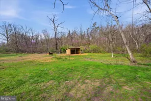 1112 Stony Hill Rd, Winchester, VA 22603 - Photo 36