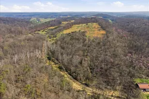 1112 Stony Hill Rd, Winchester, VA 22603 - Photo 28