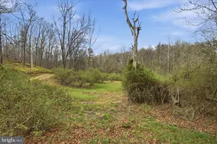 1112 Stony Hill Rd, Winchester, VA 22603 - Photo 4