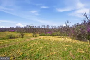 1112 Stony Hill Rd, Winchester, VA 22603 - Photo 18