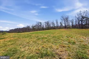 1112 Stony Hill Rd, Winchester, VA 22603 - Photo 46