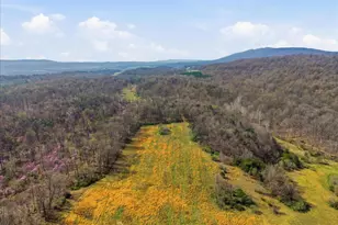 1112 Stony Hill Rd, Winchester, VA 22603 - Photo 26