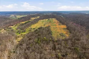 1112 Stony Hill Rd, Winchester, VA 22603 - Photo 60