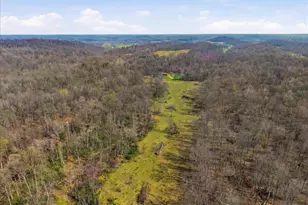 1112 Stony Hill Rd, Winchester, VA 22603 - Photo 54