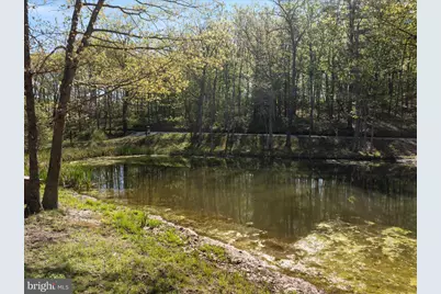 775 Pack Horse Road, Winchester, VA 22603 - Photo 26