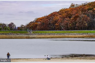 133 Erie Trail, Winchester, VA 22602 - Photo 58