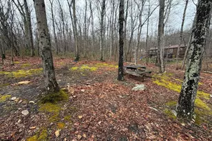 610 Puma Trail, Winchester, VA 22602 - Photo 28