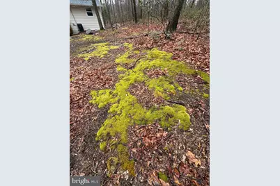 610 Puma Trail, Winchester, VA 22602 - Photo 26