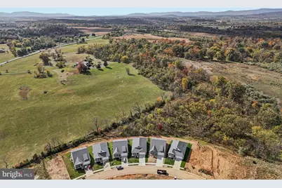 239 Hydrangea Way, Winchester, VA 22602 - Photo 42