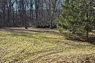 274 Woodside Ln, Winchester, VA 22603 - Photo 76
