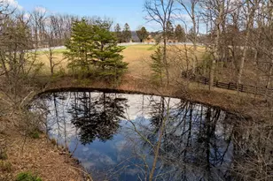 456 Marple Rd, Winchester, VA 22603 - Photo 74