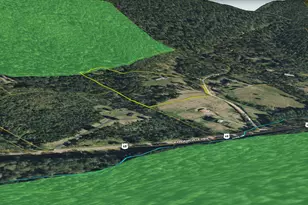 291 Capon Springs Grade, Star Tannery, VA 22654 - Photo 30