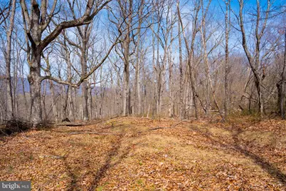 Wardensville Grade, Winchester, VA 22602 - Photo 52