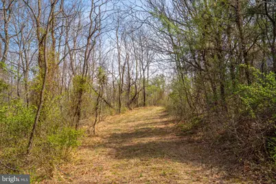 Wardensville Grade, Winchester, VA 22602 - Photo 50