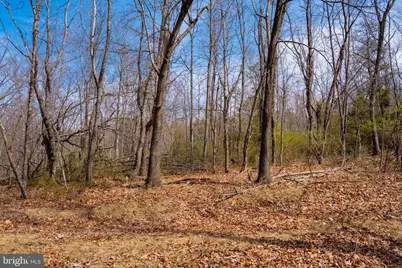 Wardensville Grade, Winchester, VA 22602 - Photo 4