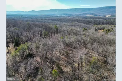 Wardensville Grade, Winchester, VA 22602 - Photo 32