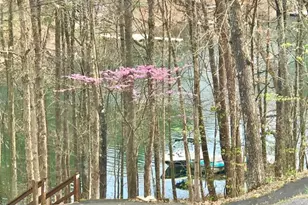 634 Lakeview Dr, Cross Junction, VA 22625 - Photo 66