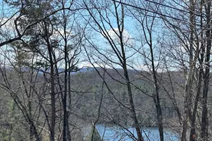 634 Lakeview Dr, Cross Junction, VA 22625 - Photo 88